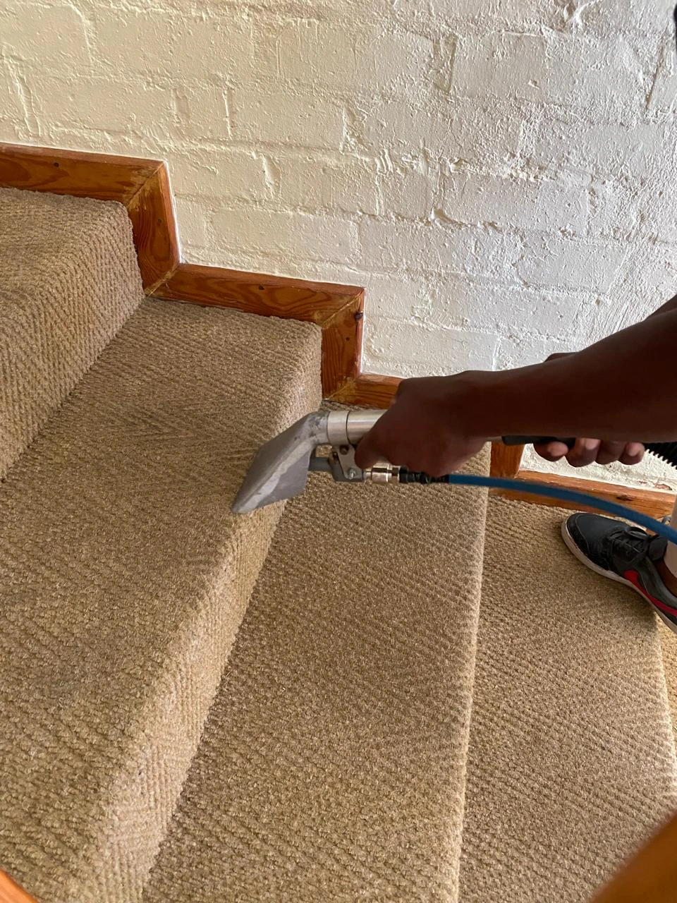 Carpet Stain Removal