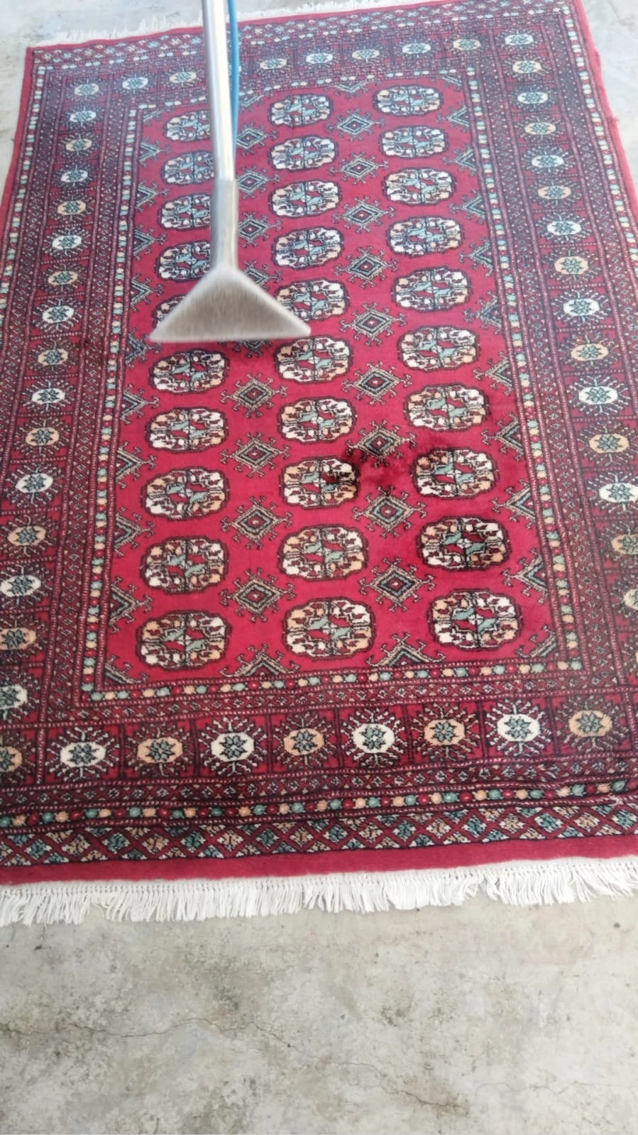 Professional Carpet Care