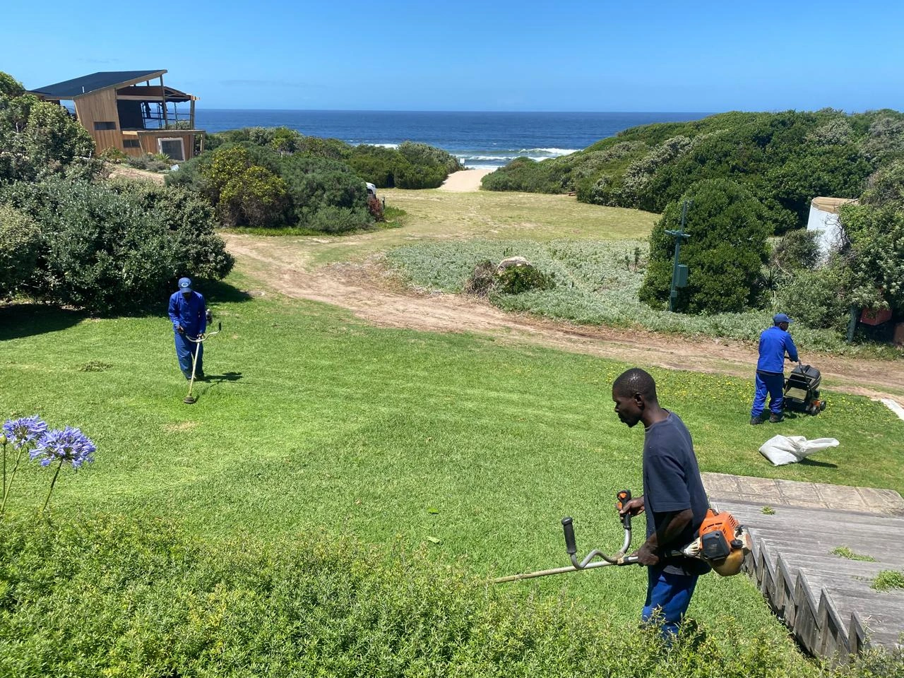 Professional Garden Maintenance