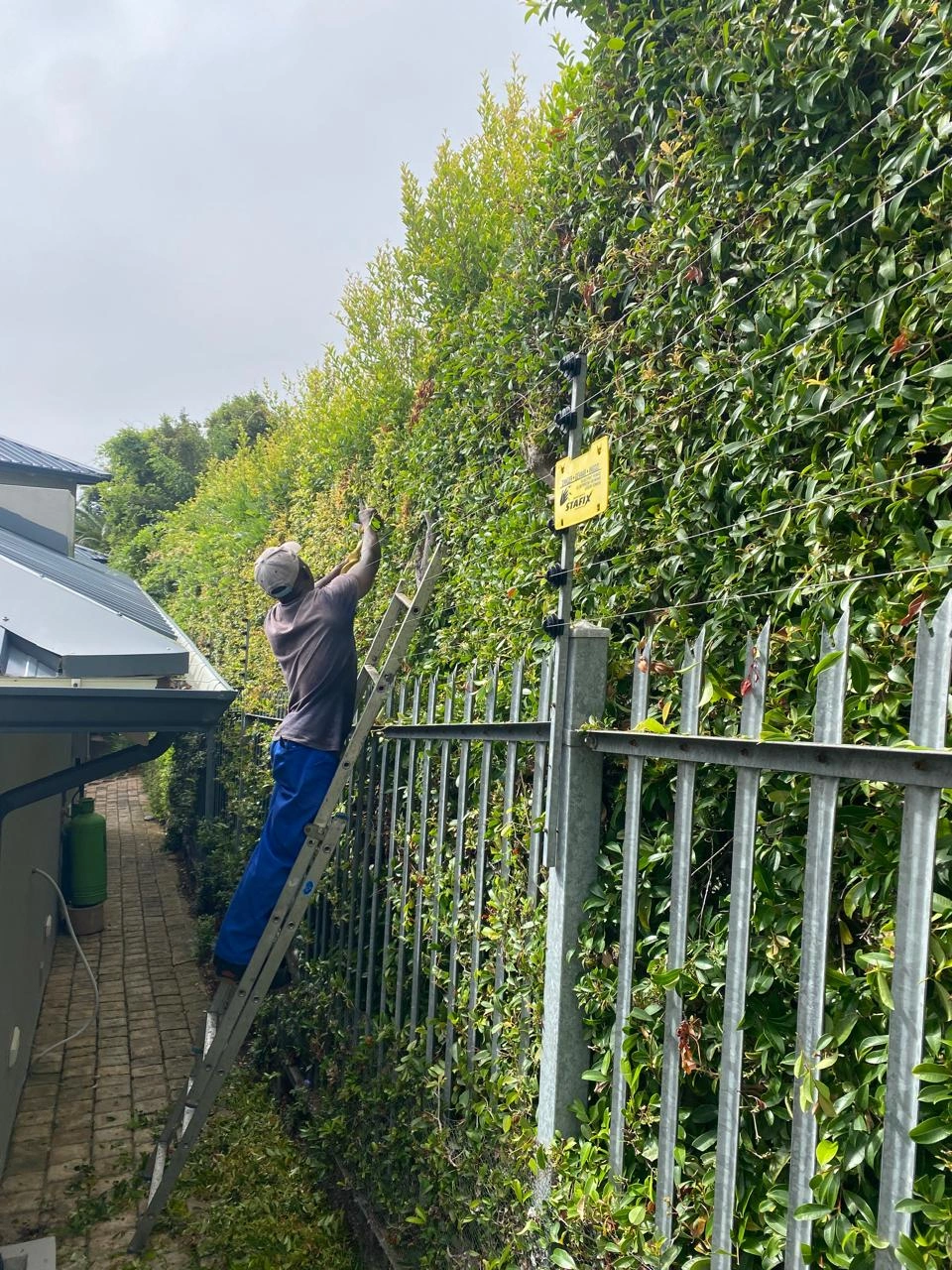 Garden Maintenance Service