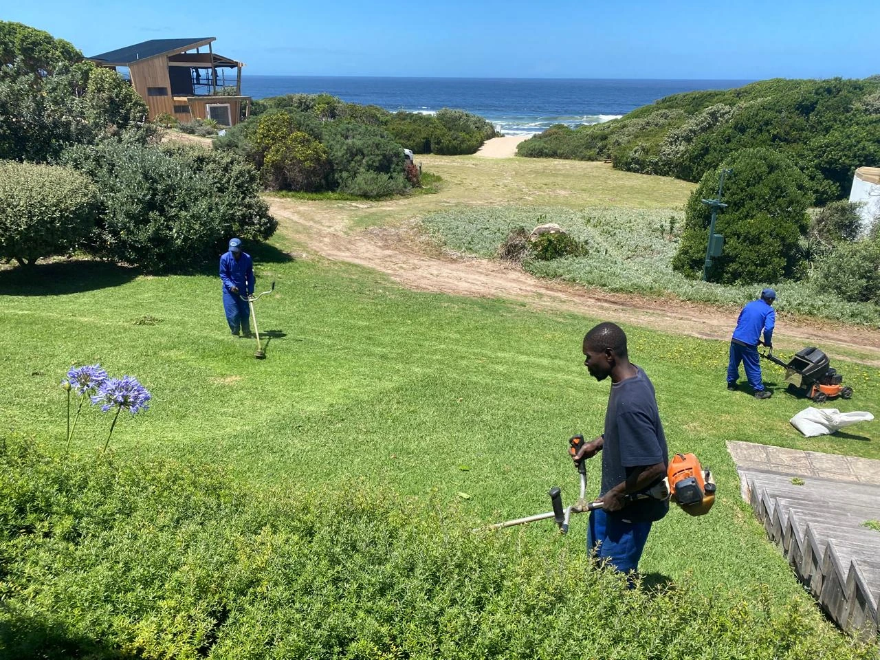 Professional cleaning services in Plettenberg Bay