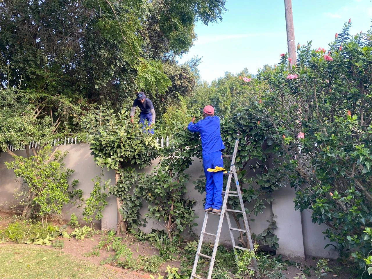 Cleaning services in Plett