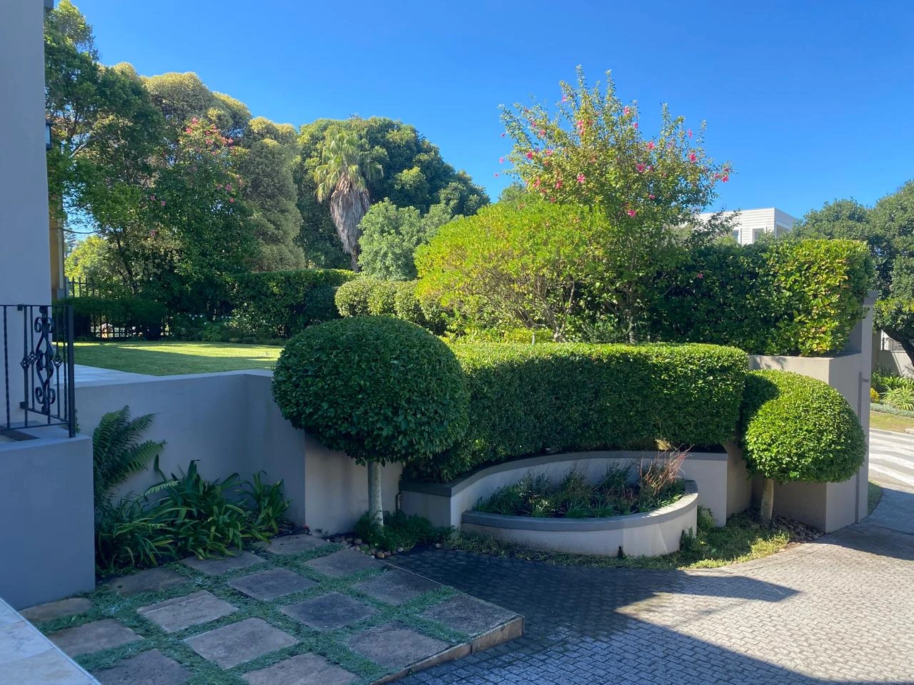 Professional cleaning Plett